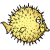 proj openbsd2